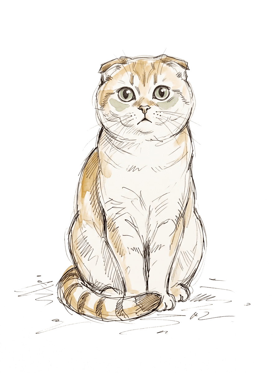 Eine Katze wacht über die Waage