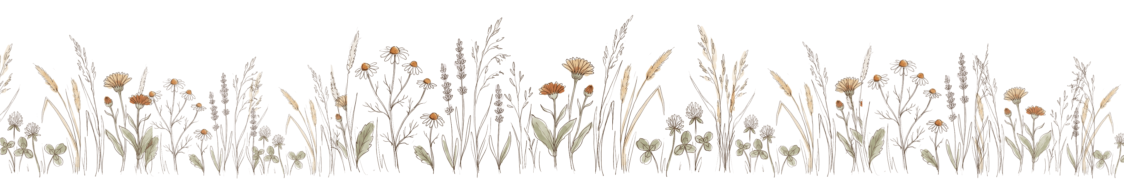 Ein Band aus Wiesenkräutern — Kamille, Lavendel, Ringelblume, Klee